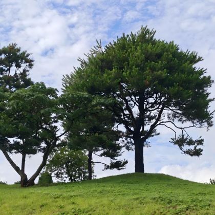 韩国仁川+首尔5日4晚拼小团 韩国仁川+首尔5日4晚拼小团