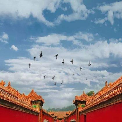 大连+丹东+沈阳6日5晚跟团游 大连+丹东+沈阳6日5晚跟团游