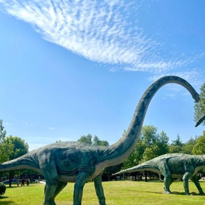 南阳卧龙岗武侯祠+南阳医圣祠+南阳世界月季大观园+西峡恐龙遗迹园3日2晚私家团 南阳卧龙岗武侯祠+南阳医圣祠+南阳世界月季大观园+西峡恐龙遗迹园3日2晚私家团