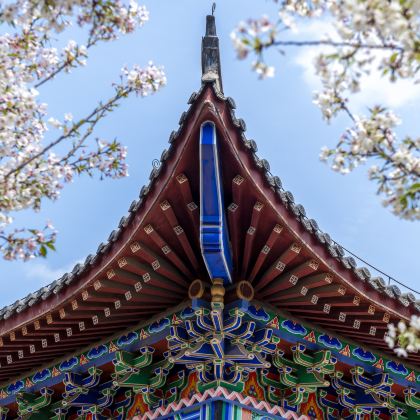 湖北武汉+黄鹤楼+户部巷+东湖生态旅游风景区+黄冈6日5晚私家团 湖北武汉+黄鹤楼+户部巷+东湖生态旅游风景区+黄冈6日5晚私家团