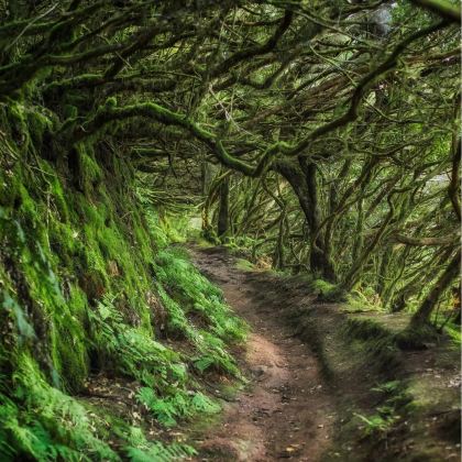 西班牙巴塞罗那+马德里+特内里费岛10日8晚私家团 西班牙巴塞罗那+马德里+特内里费岛10日8晚私家团