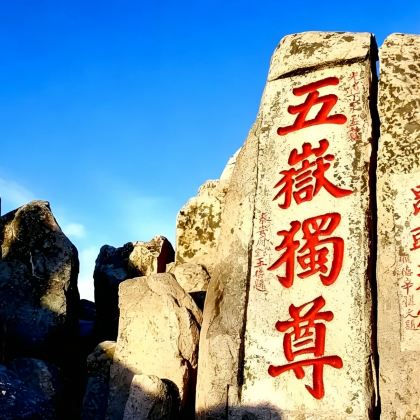 山东曲阜+泰山风景区+济南3日2晚跟团游 山东曲阜+泰山风景区+济南3日2晚跟团游