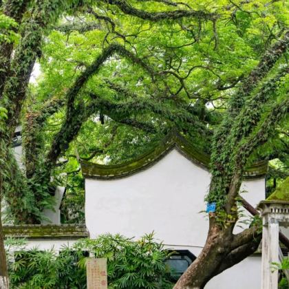 福州+泰宁4日3晚私家团 福州+泰宁4日3晚私家团