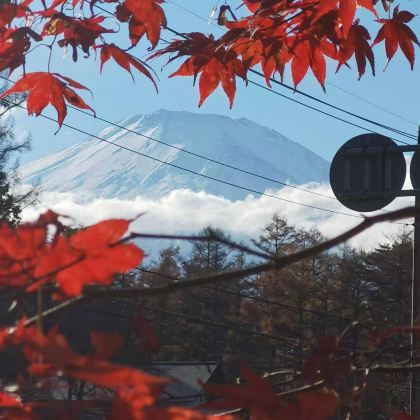 日本东京+富士山+箱根5日4晚拼小团 日本东京+富士山+箱根5日4晚拼小团