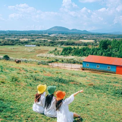 韩国首尔+济州岛8日7晚私家团 韩国首尔+济州岛8日7晚私家团