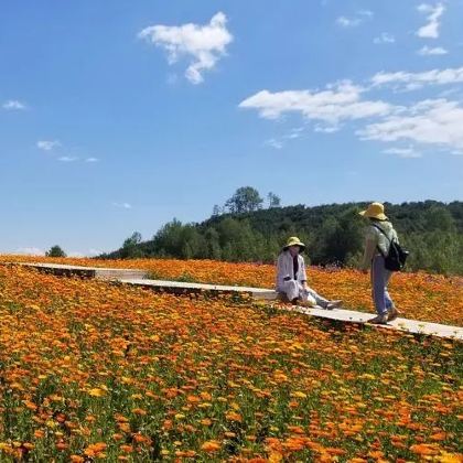 西宁+佑宁寺+彩虹部落土族园+油嘴湾花海+北山国家森林公园+扎龙沟景区+扎碾公路2日1晚私家团 西宁+佑宁寺+彩虹部落土族园+油嘴湾花海+北山国家森林公园+扎龙沟景区+扎碾公路2日1晚私家团