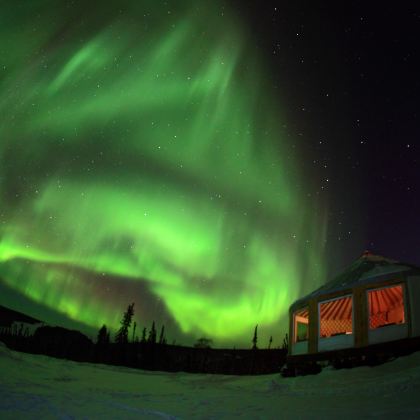 阿拉斯加州费尔班克斯5日4晚跟团游 阿拉斯加州费尔班克斯5日4晚跟团游