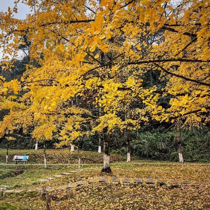 韶关+丹霞山+南华禅寺4日3晚私家团 韶关+丹霞山+南华禅寺4日3晚私家团