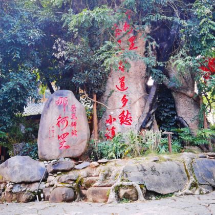 昆明+新平+普洱+澜沧+西盟+沧源+云县+巍山+大理市8日7晚拼小团 昆明+新平+普洱+澜沧+西盟+沧源+云县+巍山+大理市8日7晚拼小团