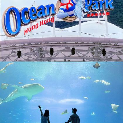 香港+澳门5日4晚跟团游 香港+澳门5日4晚跟团游