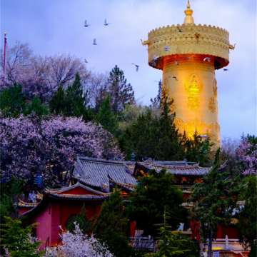 云南昆明+大理市+丽江+香格里拉+泸沽湖+西双版纳12日11晚跟团游 云南昆明+大理市+丽江+香格里拉+泸沽湖+西双版纳12日11晚跟团游