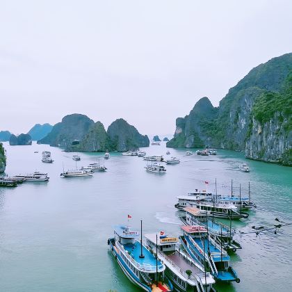 广西南宁+越南下龙湾+河内+天堂岛+北海6日5晚跟团游 广西南宁+越南下龙湾+河内+天堂岛+北海6日5晚跟团游