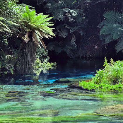 澳大利亚+新西兰13日10晚跟团游 澳大利亚+新西兰13日10晚跟团游