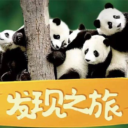 成都+三星堆博物馆+卧龙中华大熊猫苑神树坪基地5日4晚跟团游