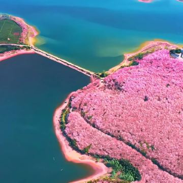 贵州贵阳+黄果树景区+梵净山+荔波+镇远+西江千户苗寨6日5晚跟团游 贵州贵阳+黄果树景区+梵净山+荔波+镇远+西江千户苗寨6日5晚跟团游