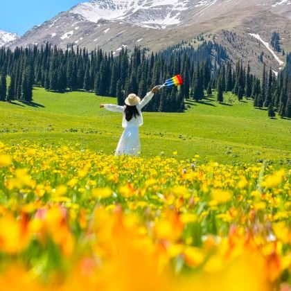 新疆北疆+乌鲁木齐12日11晚跟团游 新疆北疆+乌鲁木齐12日11晚跟团游