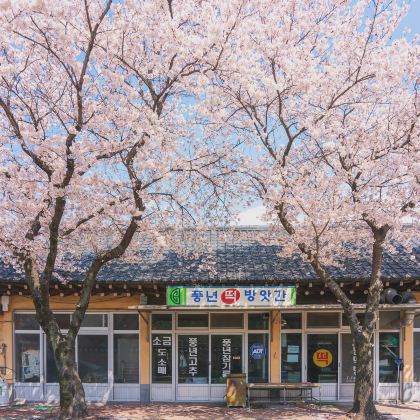 韩国济州岛6日5晚私家团 韩国济州岛6日5晚私家团