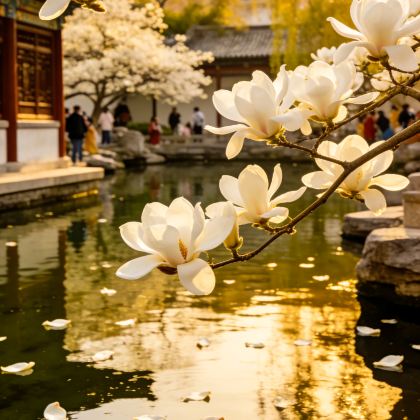 山东济南+曲阜三孔+泰山风景区+东平6日5晚私家团 山东济南+曲阜三孔+泰山风景区+东平6日5晚私家团