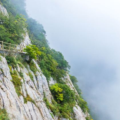 河南郑州+嵩山3日2晚私家团