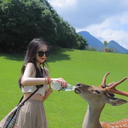 神农架+大九湖国家湿地公园4日3晚私家团 神农架+大九湖国家湿地公园4日3晚私家团