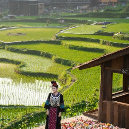 贵州贵阳+黄果树+梵净山+西江千户苗寨+荔波+镇远6日5晚私家团 贵州贵阳+黄果树+梵净山+西江千户苗寨+荔波+镇远6日5晚私家团