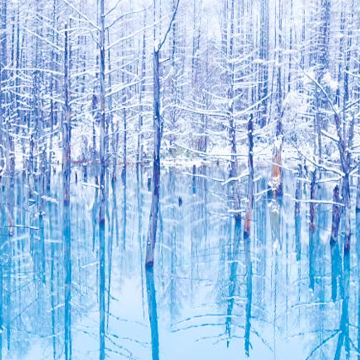 日本北海道+东京6日5晚私家团 日本北海道+东京6日5晚私家团