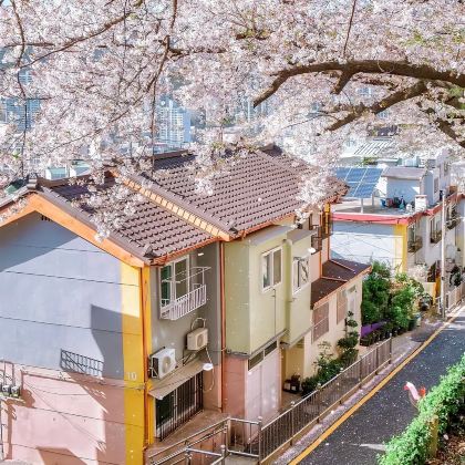 首尔+釜山+庆州7日6晚私家团 首尔+釜山+庆州7日6晚私家团