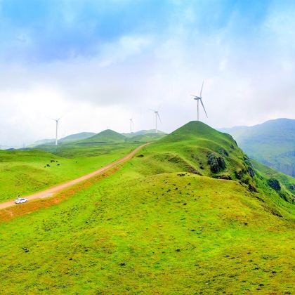 荔波小七孔景区+梵净山+赤水丹霞旅游区·大瀑布+黄果树景区+乌蒙大草原+百里杜鹃风景区+万峰林景区+西江千户苗寨12日11晚私家团 荔波小七孔景区+梵净山+赤水丹霞旅游区·大瀑布+黄果树景区+乌蒙大草原+百里杜鹃风景区+万峰林景区+西江千户苗寨12日11晚私家团