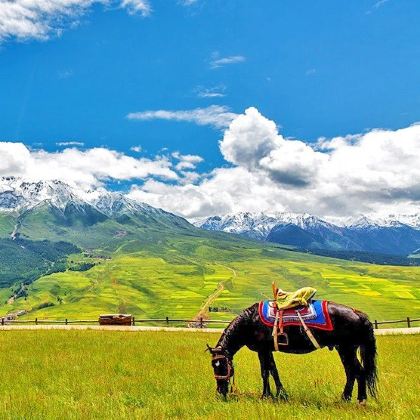 张掖+山丹+祁连+金昌7日6晚私家团 张掖+山丹+祁连+金昌7日6晚私家团