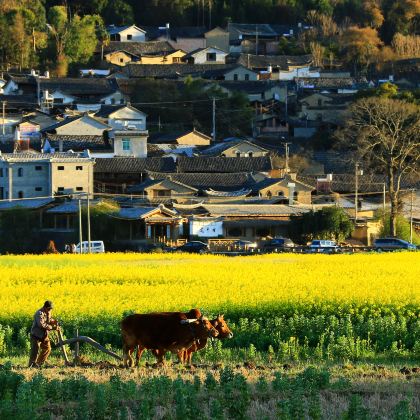 腾冲+和顺古镇5日4晚拼小团 腾冲+和顺古镇5日4晚拼小团