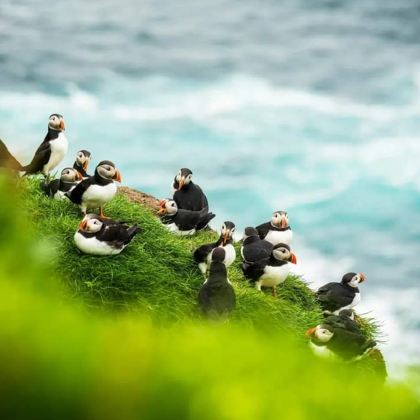 丹麦+法罗群岛+奥胡斯+欧登塞+斯卡恩12日11晚私家团 丹麦+法罗群岛+奥胡斯+欧登塞+斯卡恩12日11晚私家团