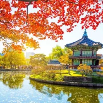 韩国庆州佛国寺7日6晚私家团 韩国庆州佛国寺7日6晚私家团
