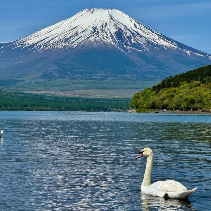 日本东京6日5晚私家团 日本东京6日5晚私家团