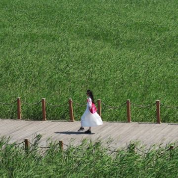 沈阳+哈尔滨+漠河+呼伦贝尔13日12晚跟团游 沈阳+哈尔滨+漠河+呼伦贝尔13日12晚跟团游