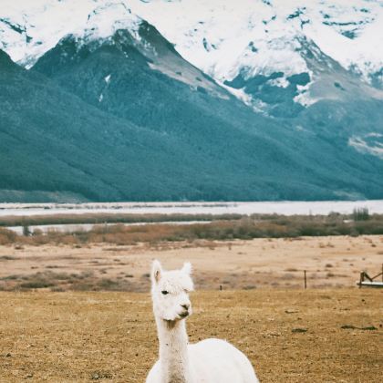新西兰10日9晚私家团 新西兰10日9晚私家团