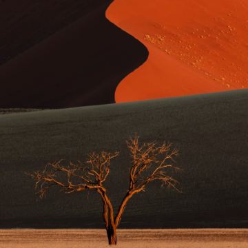 纳米比亚+死亡谷+鲸湾海滨+埃托沙国家公园+辛巴红泥人部落8日7晚私家团 纳米比亚+死亡谷+鲸湾海滨+埃托沙国家公园+辛巴红泥人部落8日7晚私家团