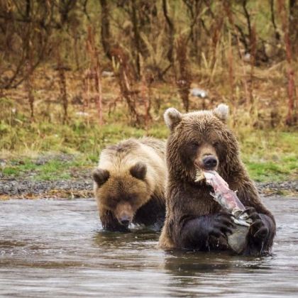 俄罗斯堪察加半岛6日5晚自由行 俄罗斯堪察加半岛6日5晚自由行