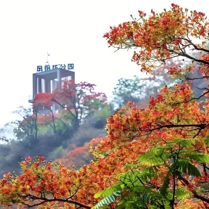 攀枝花+颛顼龙洞旅游景区+新山梯田+二滩国家森林公园+太阳湖公园+昔格达村+成都+达古冰川风景区+牛背山+毕棚沟12日11晚私家团 攀枝花+颛顼龙洞旅游景区+新山梯田+二滩国家森林公园+太阳湖公园+昔格达村+成都+达古冰川风景区+牛背山+毕棚沟12日11晚私家团