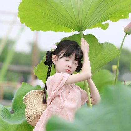 云南昆明+抚仙湖+建水+普者黑景区+弥勒7日6晚私家团 云南昆明+抚仙湖+建水+普者黑景区+弥勒7日6晚私家团