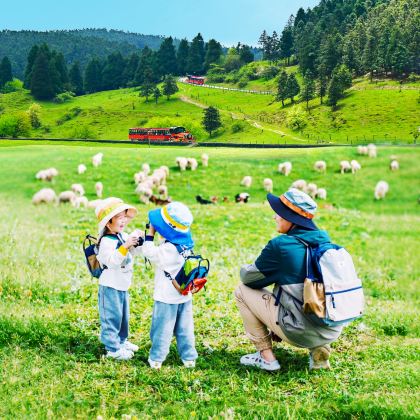重庆+武隆区+彭水5日4晚跟团游 重庆+武隆区+彭水5日4晚跟团游