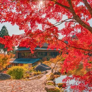 日本东京+富士山+大阪+京都+奈良10日9晚拼小团 日本东京+富士山+大阪+京都+奈良10日9晚拼小团