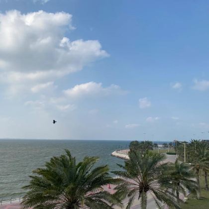 沙特阿拉伯7日6晚私家团 沙特阿拉伯7日6晚私家团