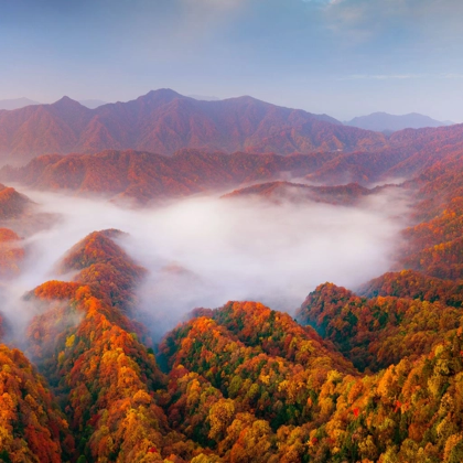 汉中+光雾山旅游景区+米仓山国家森林公园+十八月潭景区5日4晚私家团 汉中+光雾山旅游景区+米仓山国家森林公园+十八月潭景区5日4晚私家团