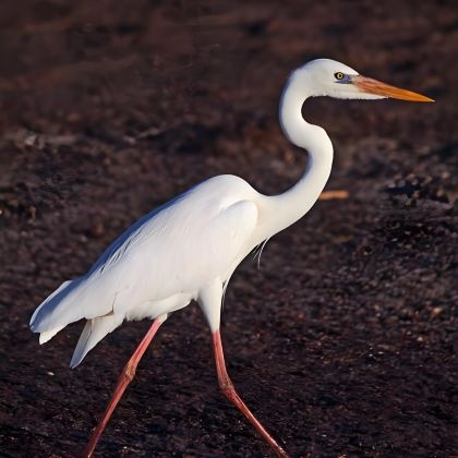 坎昆5日4晚跟团游 坎昆5日4晚跟团游