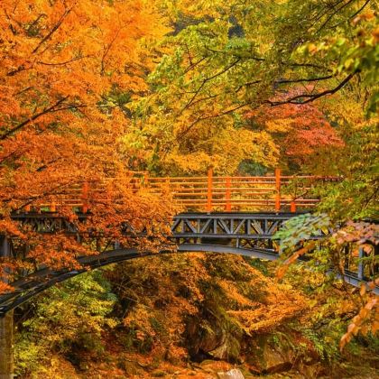 日本北海道6日5晚私家团 日本北海道6日5晚私家团