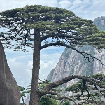 黄山+宏村景区3日2晚自由行 黄山+宏村景区3日2晚自由行