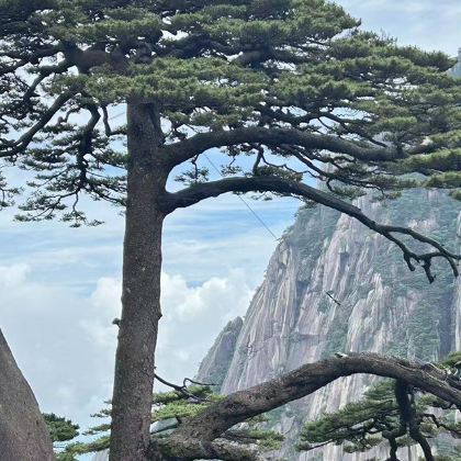黄山风景区+宏村景区3日2晚自由行 黄山风景区+宏村景区3日2晚自由行