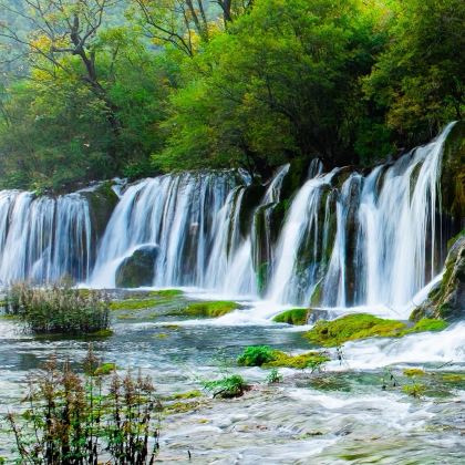 成都+九寨沟+黄龙风景名胜区+峨眉山+乐山大佛8日7晚私家团 成都+九寨沟+黄龙风景名胜区+峨眉山+乐山大佛8日7晚私家团