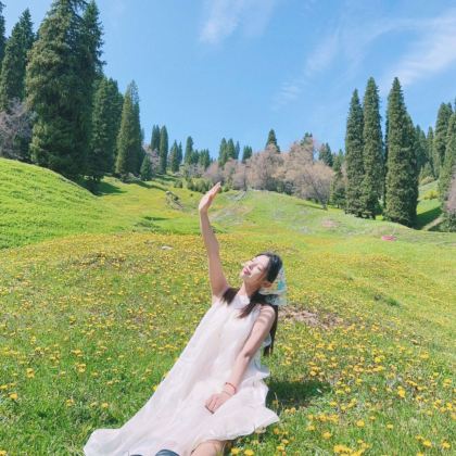 新疆北疆+阿勒泰地区+伊犁+吐鲁番12日11晚拼小团 新疆北疆+阿勒泰地区+伊犁+吐鲁番12日11晚拼小团