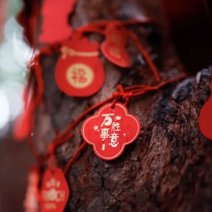 山东泰山风景区3日2晚私家团 山东泰山风景区3日2晚私家团